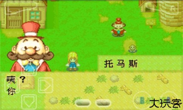 牧场物语女孩版