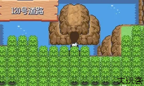 口袋妖怪漆黑的魅影6.0正版
