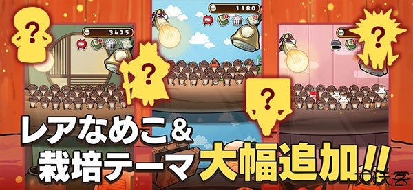 原始菇菇栽培实验室