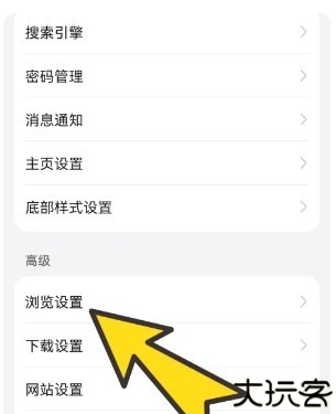 波波浏览器手机版