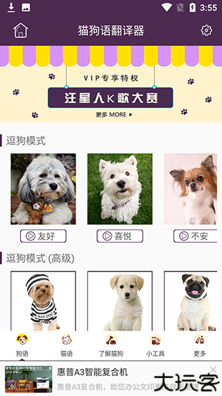 猫语狗语翻译器