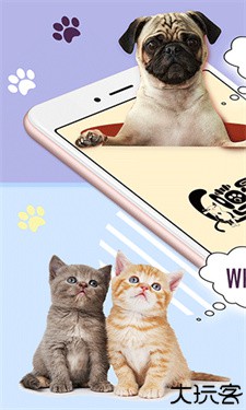 猫语狗语翻译器