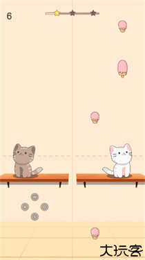 猫咪二重奏