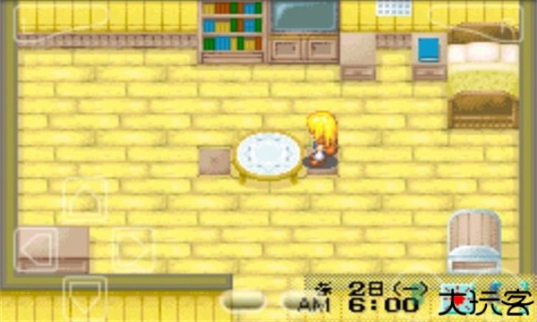 牧场物语女孩版