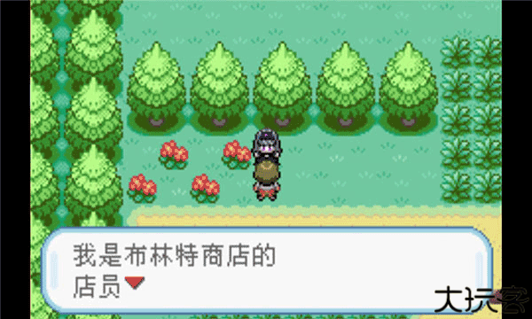 口袋妖怪火红扩展版