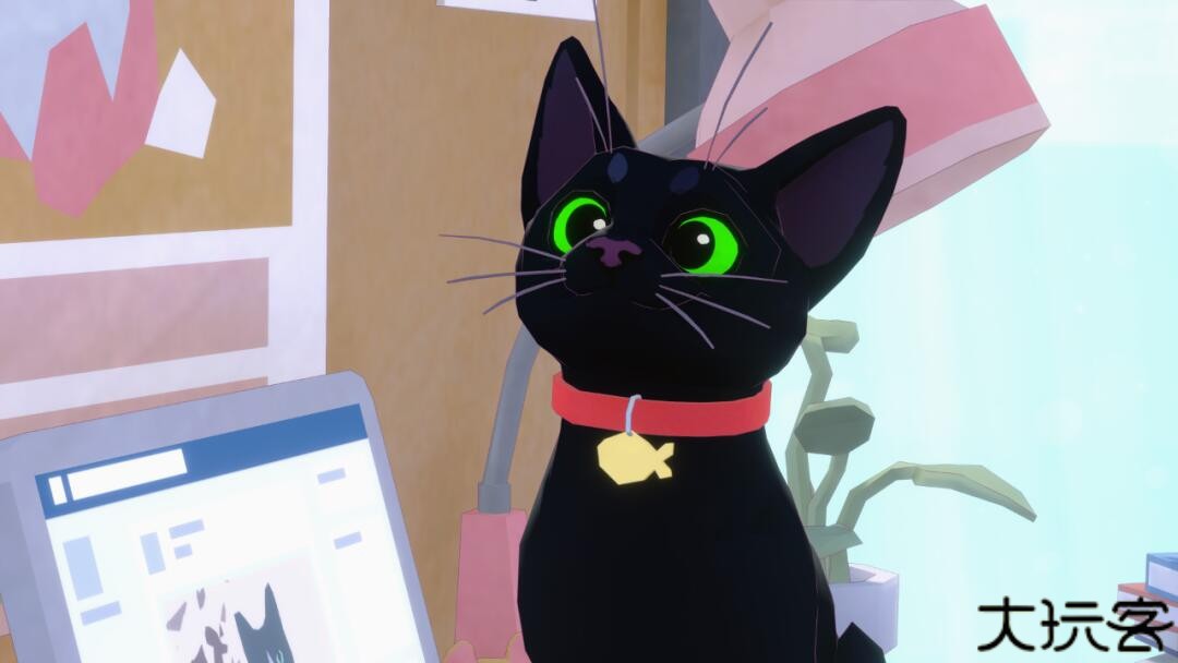 小猫咪大城市手机版