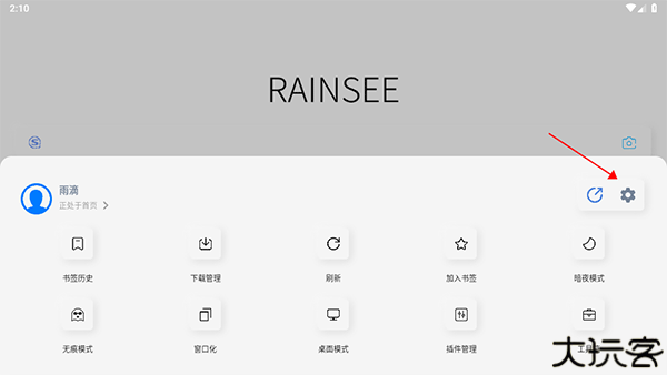 Rains浏览器