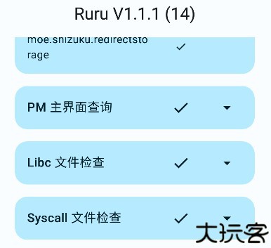 ruru检测器老版本