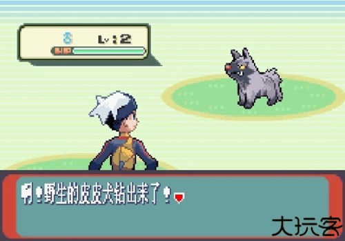 口袋妖怪红宝石