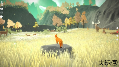 第一棵树中文版