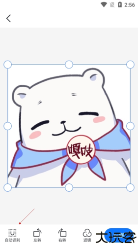 掌上识别王