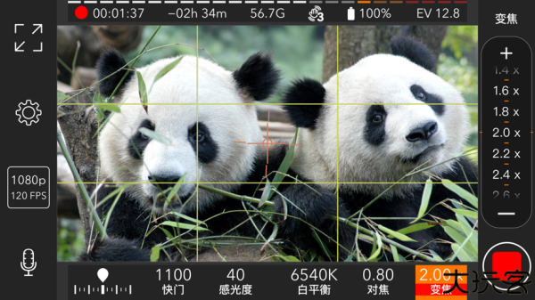 promovie专业摄像机