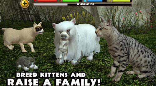 流浪猫模拟器中文版