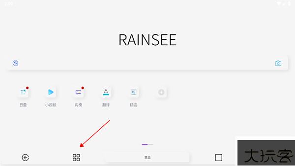 rains浏览器