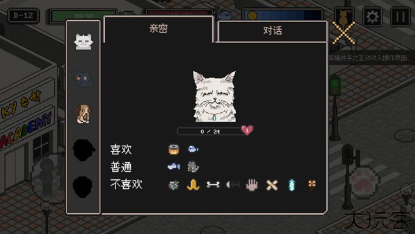 流浪猫的故事
