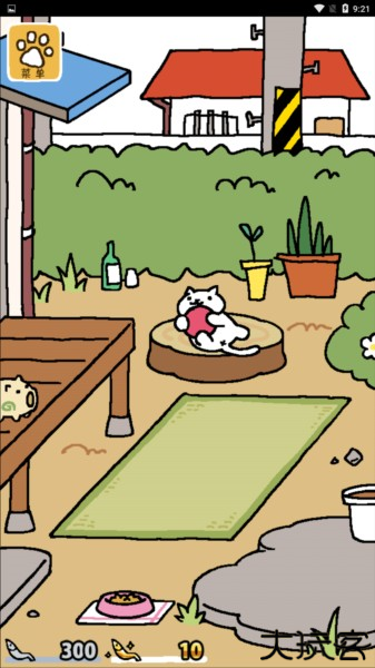 猫咪后院中文版20