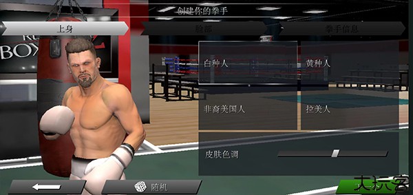 真实拳击2