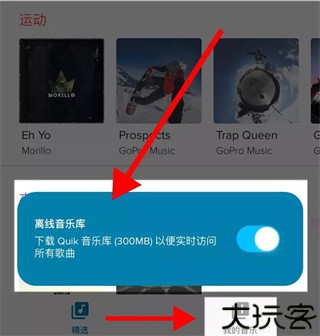 goproquik