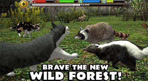 流浪猫模拟器中文版