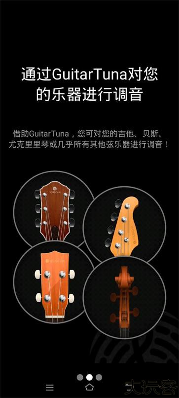 guitartuna