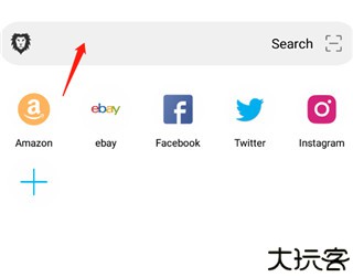 黑狮浏览器