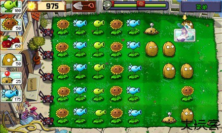 植物娘大战僵尸