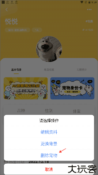 宠日常