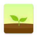 forest app