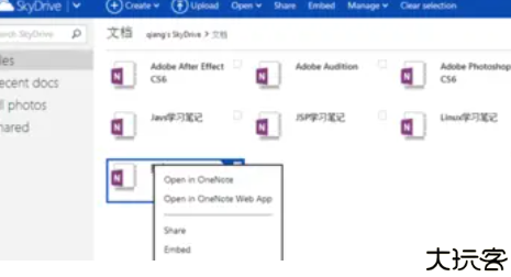 OneNote