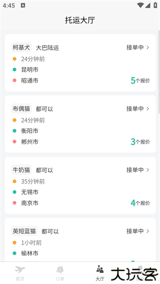 宠贝贝宠物托运平台