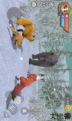 3D动物模拟器国际服