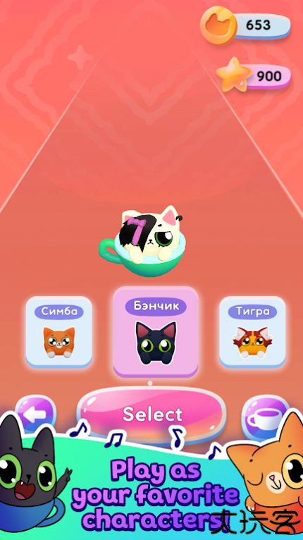 猫猫的奔跑