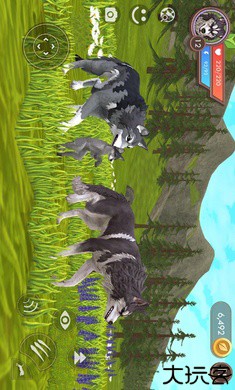 3D动物模拟器国际服