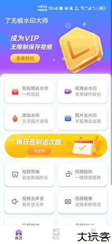 了无痕水印大师