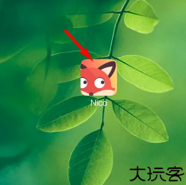抖狸Nico