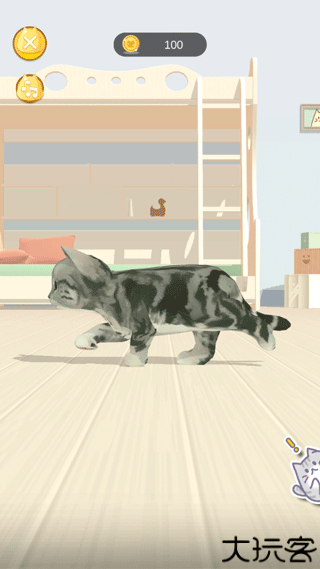 呼噜猫舍