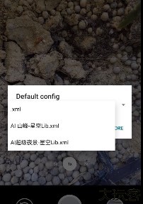 谷歌相机