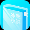 冰壳小说2025