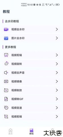 了无痕水印大师