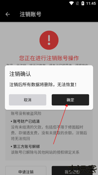 寸心闪传