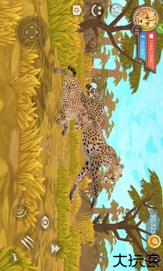 3D动物模拟器国际服