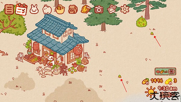 兔兔岛