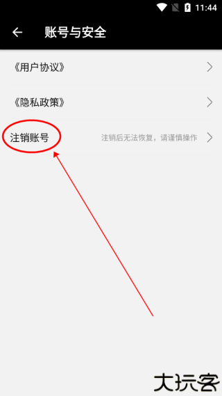 寸心闪传