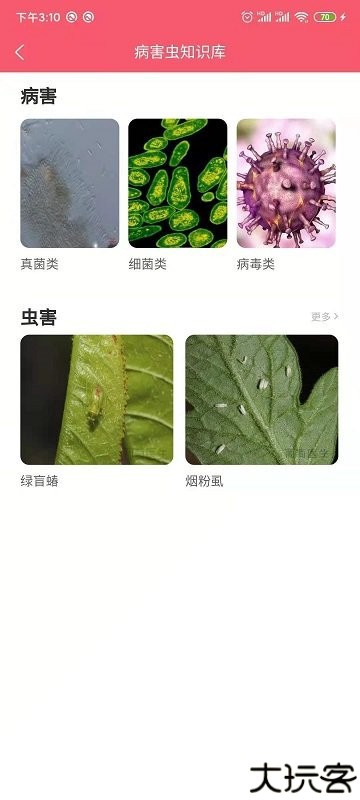 樱桃医生