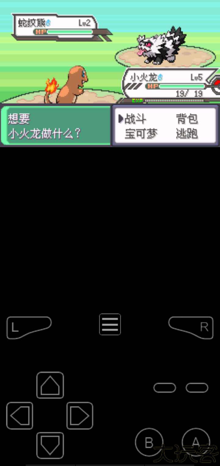 口袋妖怪究极绿宝石4