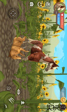 3D动物模拟器国际服