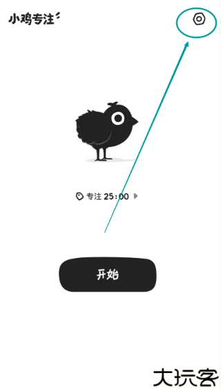 小鸡专注