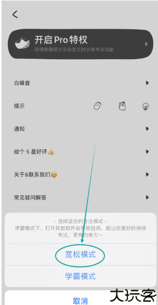 小鸡专注