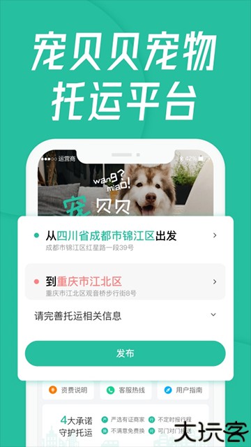 宠贝贝宠物托运平台