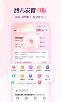 宝宝树孕育2023